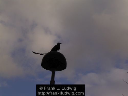 Lookout