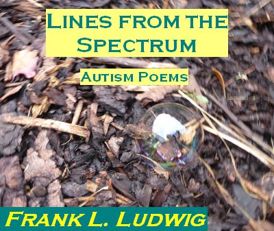 Lines from the Spectrum - Autism Poems