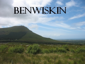 Benwiskin