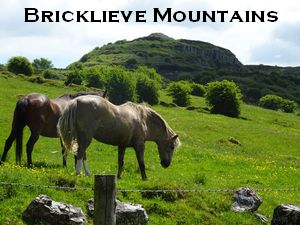 Bricklieve Mountains