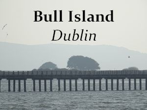 Bull Island, Dublin
