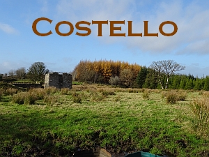 Costello