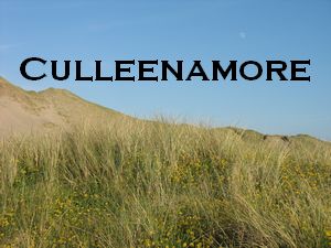 Culleenamore