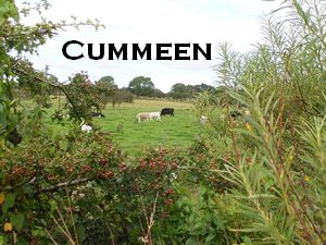 Cummeen