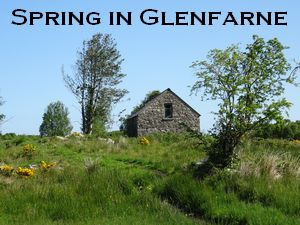Spring in Glenfarne