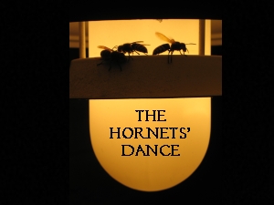 The Hornets' Dance