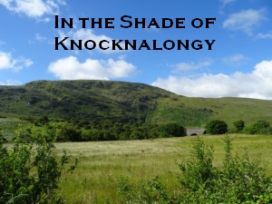 In the Shade of Knocknalongy