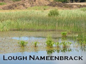 Lough Nameenbrack