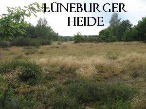 Lneburger Heide