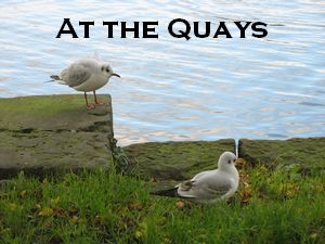 The Quays