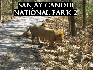 Sanjay Gandhi National Park 2