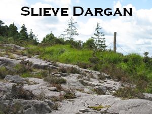 Slieve Dargan